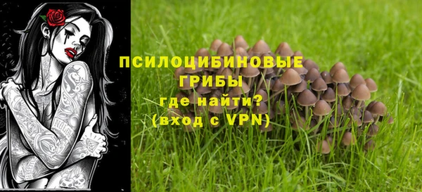 не бодяженный Алексин