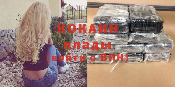 прущий лед Алзамай
