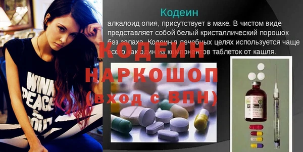 прущий лед Алзамай