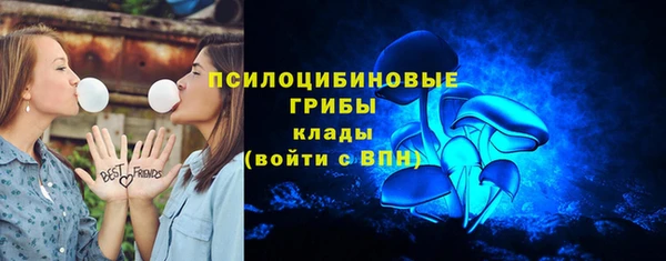 прущий лед Алзамай