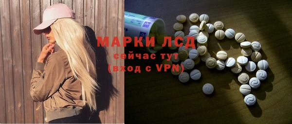 прущий лед Алзамай