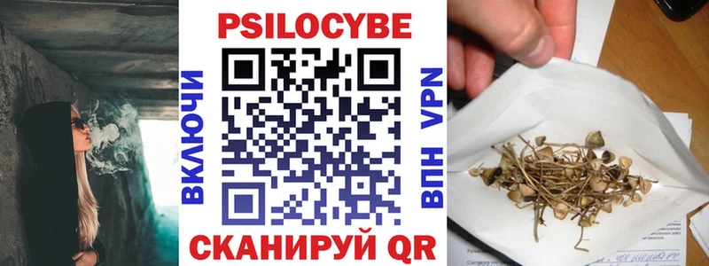 купить наркотик  Белоозёрский  Псилоцибиновые грибы Psilocybe 